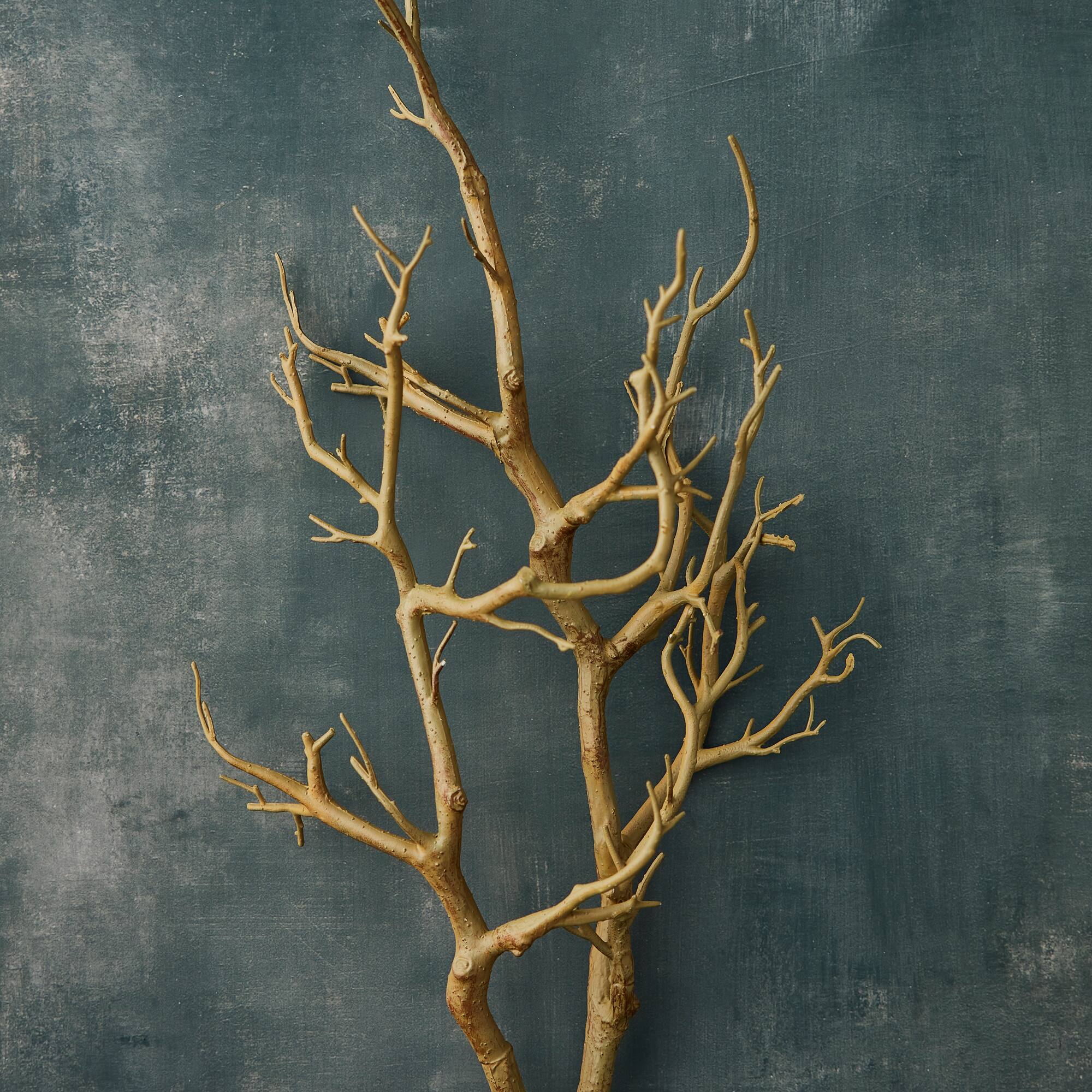 3ft. Bare Birch Branch by Ashland®